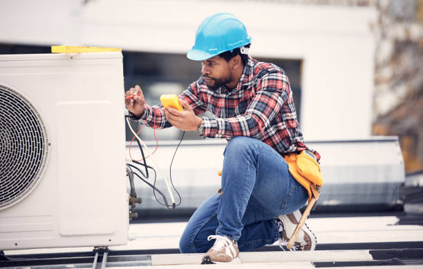 Best Electric Panel Repair  in Alpine, TX