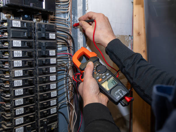 Best Electric Panel Repair  in Alpine, TX